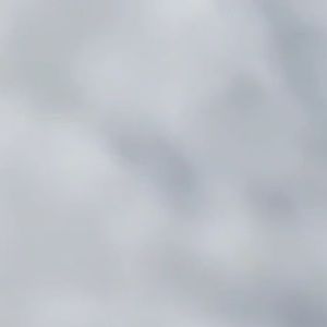 Meet your Posher, Jayda